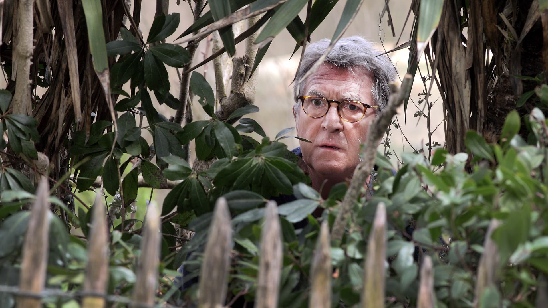 Μικρά αθώα ψέματα 2