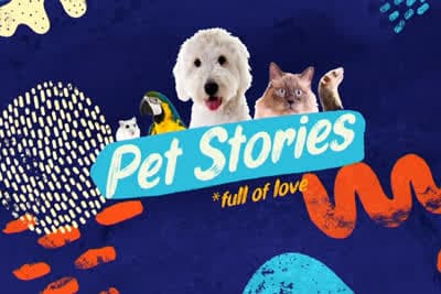 Pet Stories (Ε)