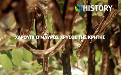 Χαρούπι - Ο μαύρος 'χρυσός' της Κρήτης