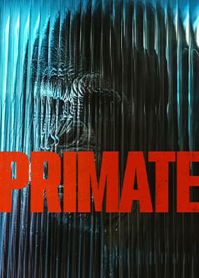 Primate