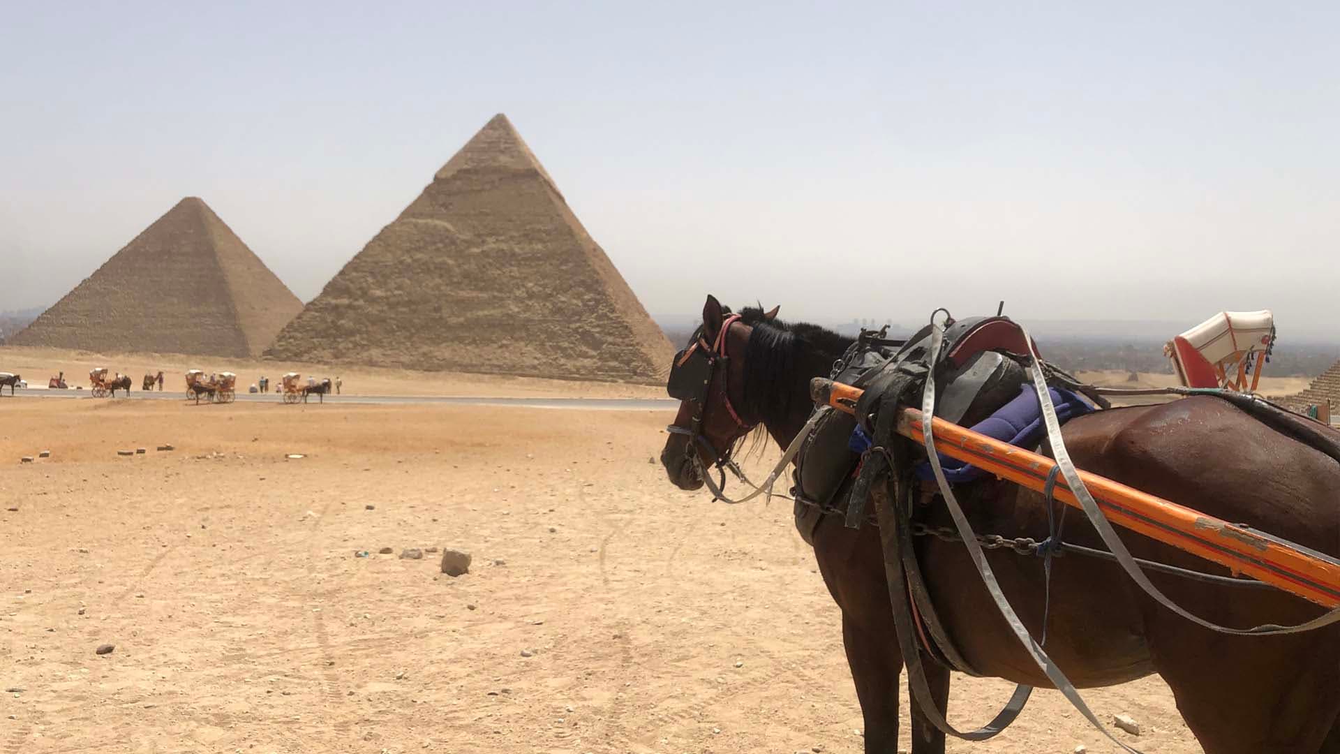 Στα χνάρια των Ελλήνων της Αιγύπτου