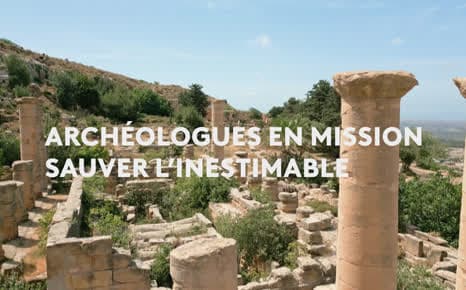 Αρχαιολόγοι ενάντια στην αρχαιοκαπηλία