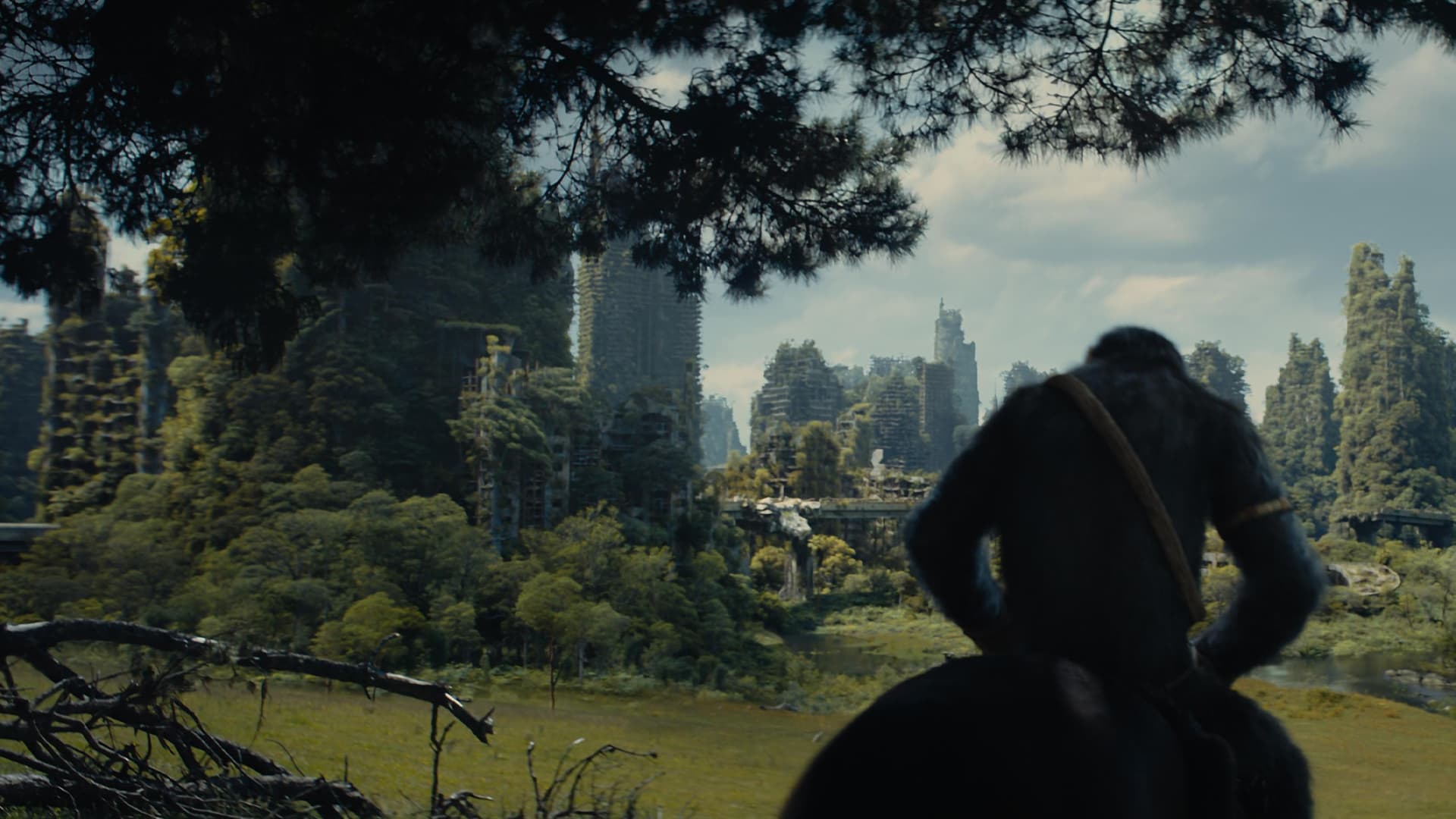 Το βασίλειο του πλανήτη των πιθήκων