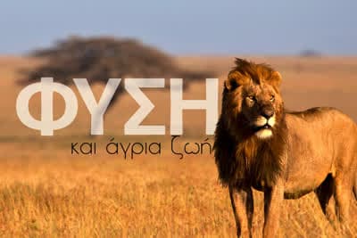 Φύση και Άγρια Ζωή