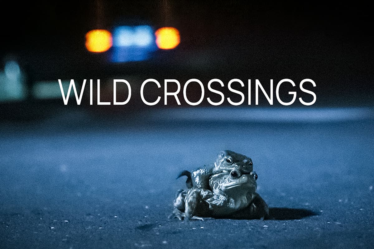 Επικίνδυνα Περάσματα