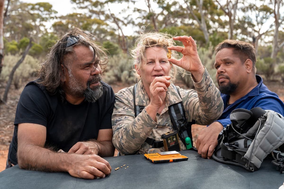 Οι Χρυσωρύχοι της Αυστραλίας Κ6 Ε13