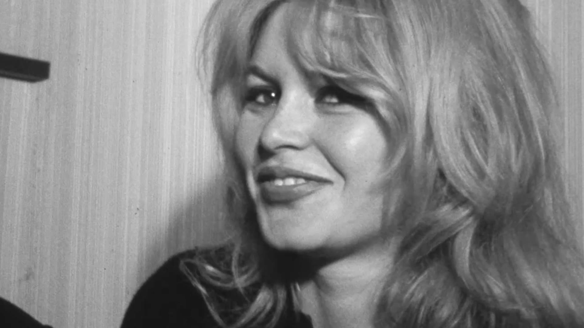 Brigitte vs Bardot