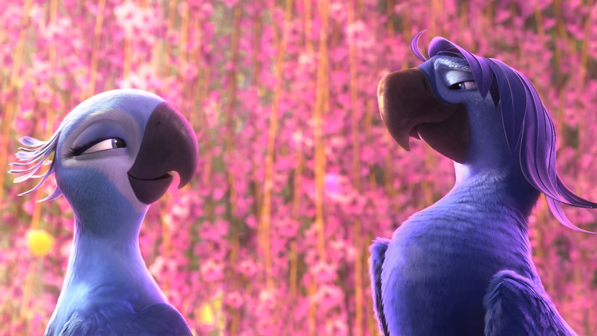 Ρίο 2 (Μεταγλ.)