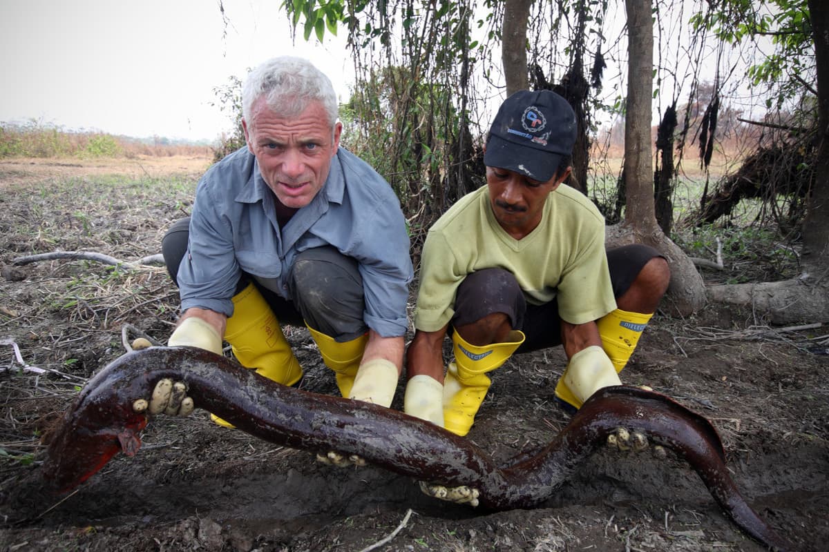 Θηριώδη Πλάσματα των Ποταμών Κ3 Ε5