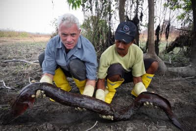 Θηριώδη Πλάσματα των Ποταμών Κ3 Ε5