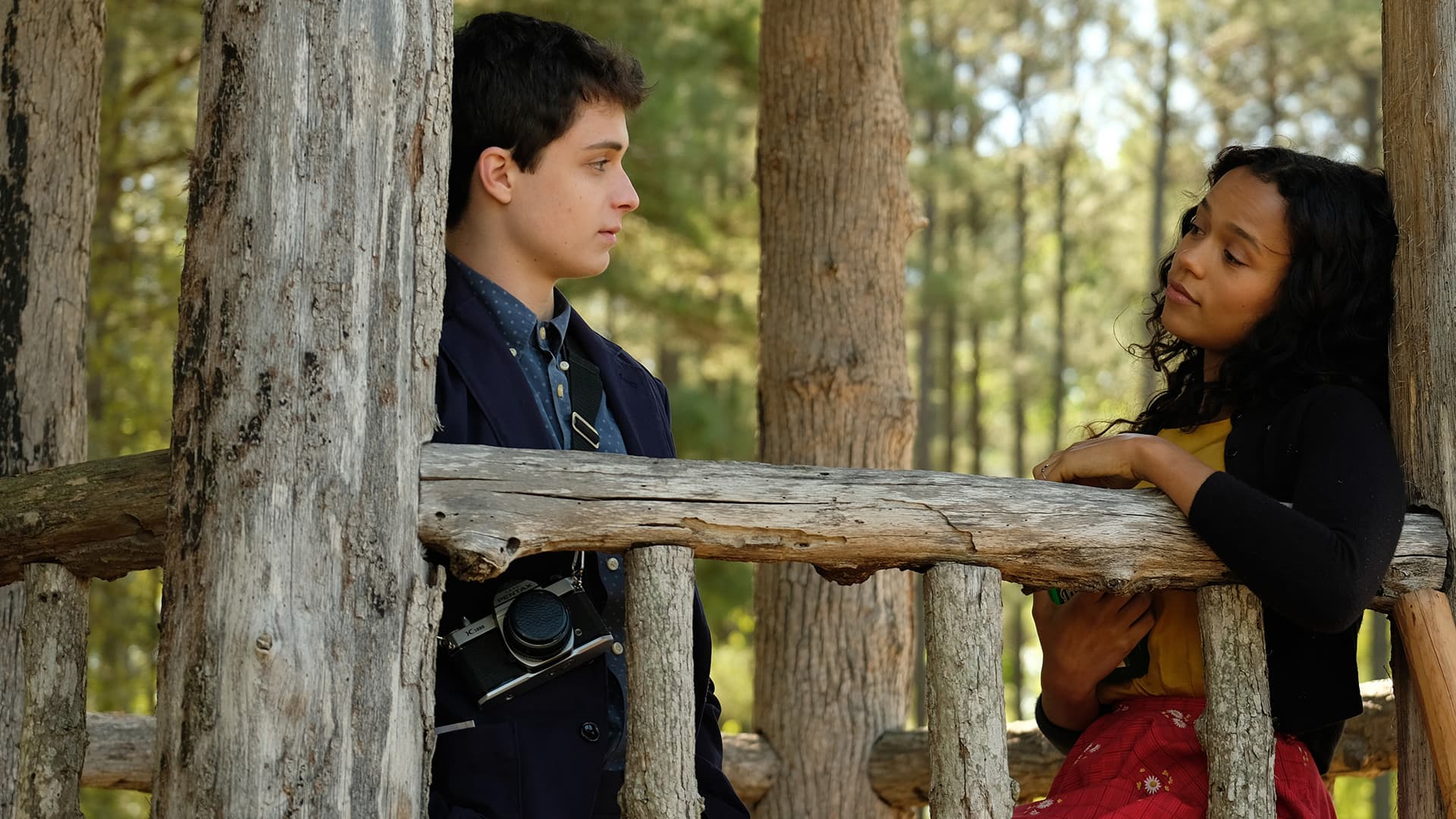 Dr. Bird's Advice for Sad Poets