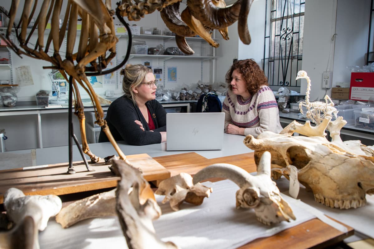 Αποκάλυψη: Μυστήρια Πανάρχαιων Φόνων Κ1 Ε4