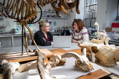 Αποκάλυψη: Μυστήρια Πανάρχαιων Φόνων Κ1 Ε4