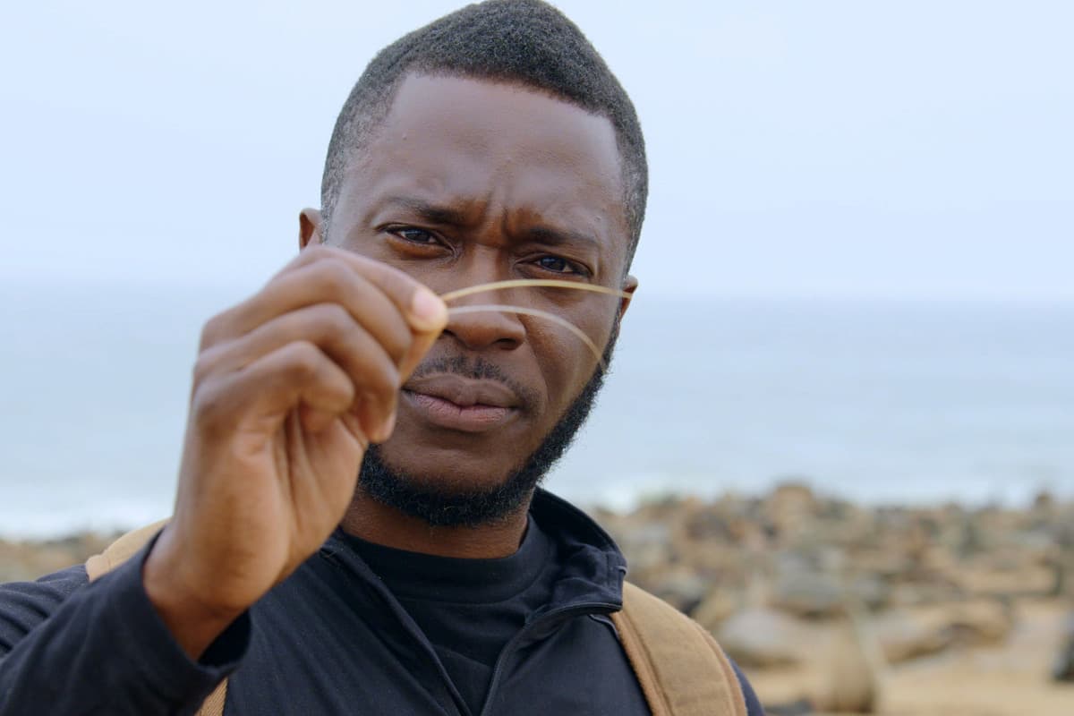 Η Δύναμη της Εξέλιξης Κ1 Ε3