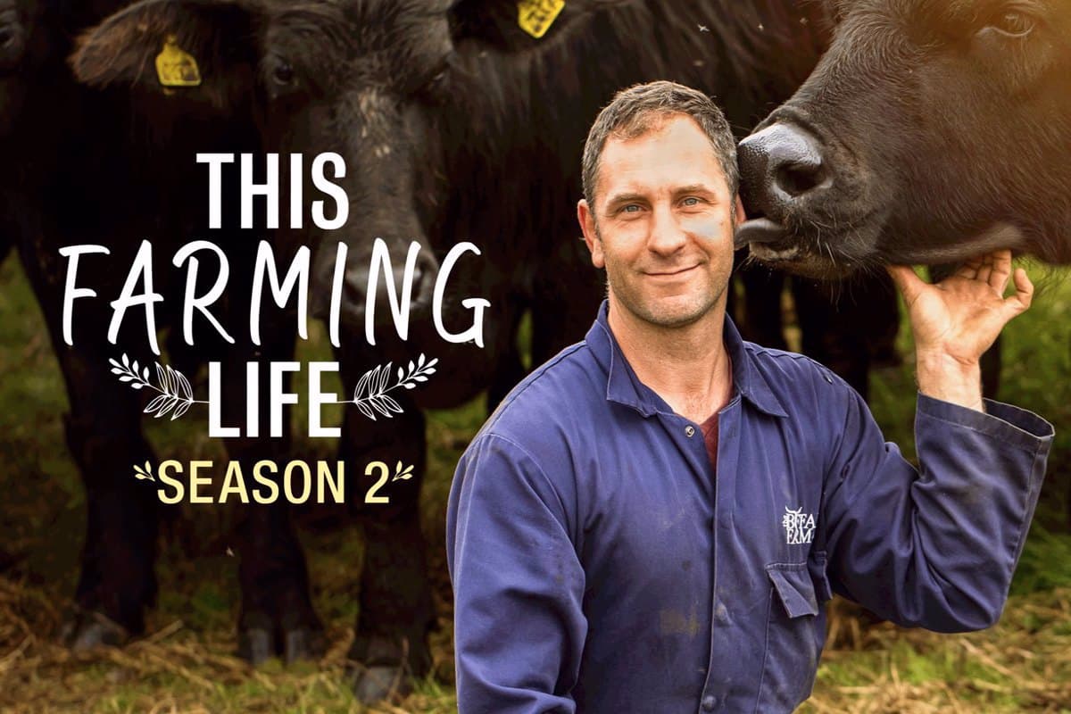 Ζωή στο Αγρόκτημα Κ2 Ε10