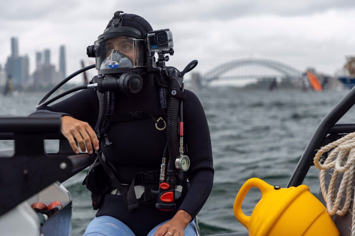 Εισβολή Καρχαριών στο Λιμάνι του Σίδνεϊ