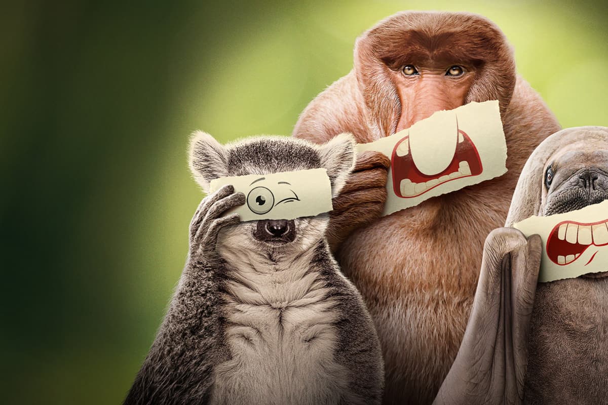 Αουτσάιντερ Κ1 Ε4