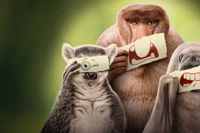 Αουτσάιντερ Κ1 Ε4