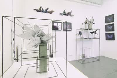 Η Τέχνη της Ταρίχευσης