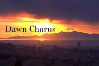 Πρωινή Χορωδία