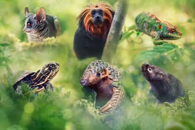 Περιπέτειες Δυσανάλογου Μεγέθους Ε3