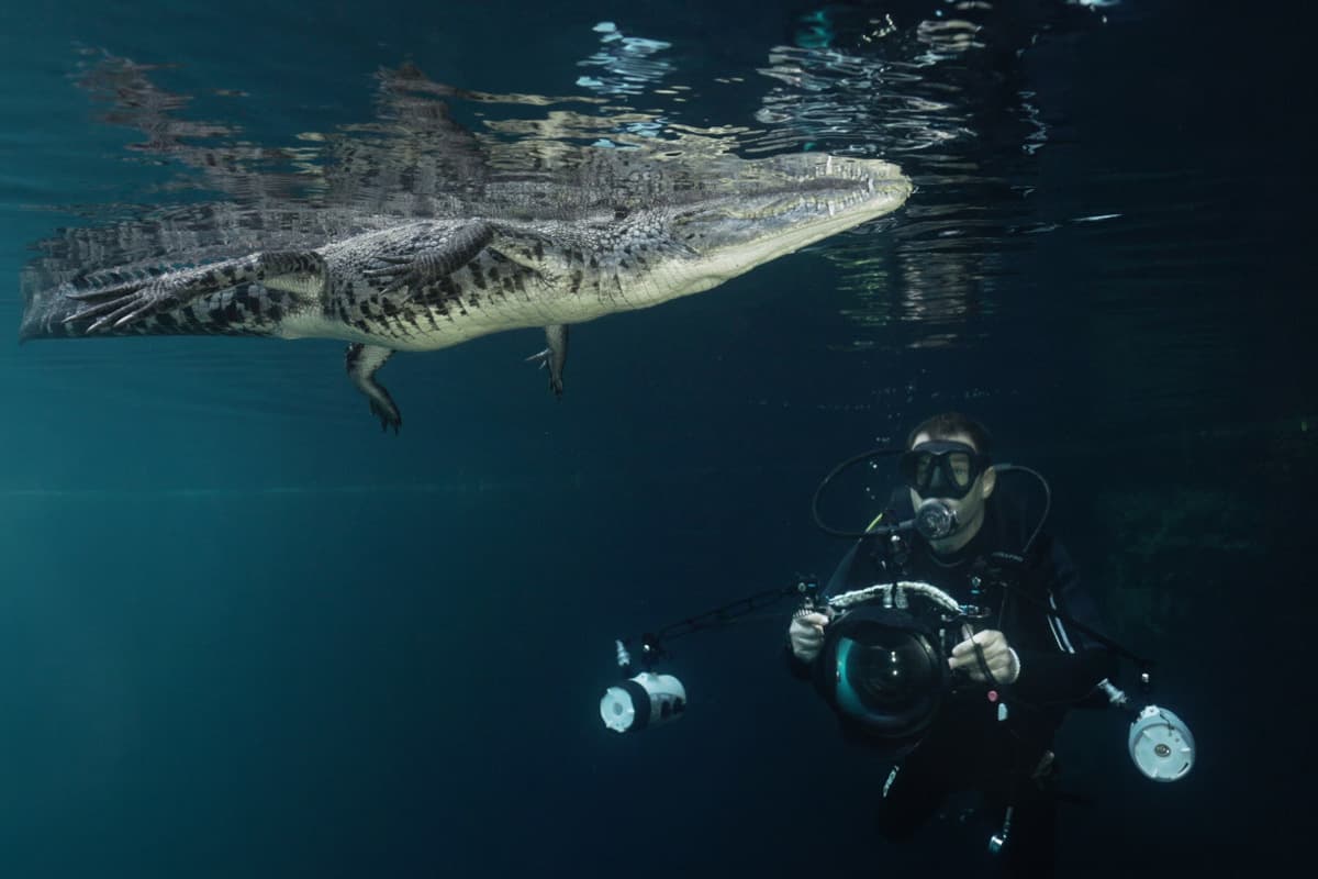 Πρόσωπο με Πρόσωπο Κ1 Ε1