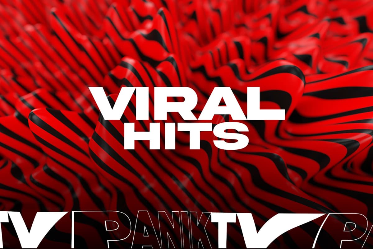 Viral Hits