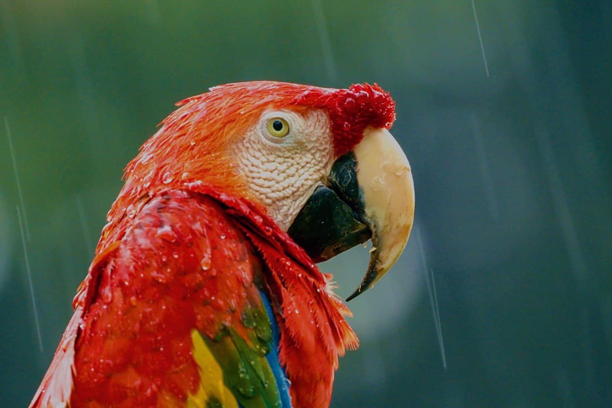 Ακραίος κόσμος Κ1 Ε1