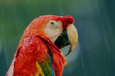 Ακραίος κόσμος Κ1 Ε1