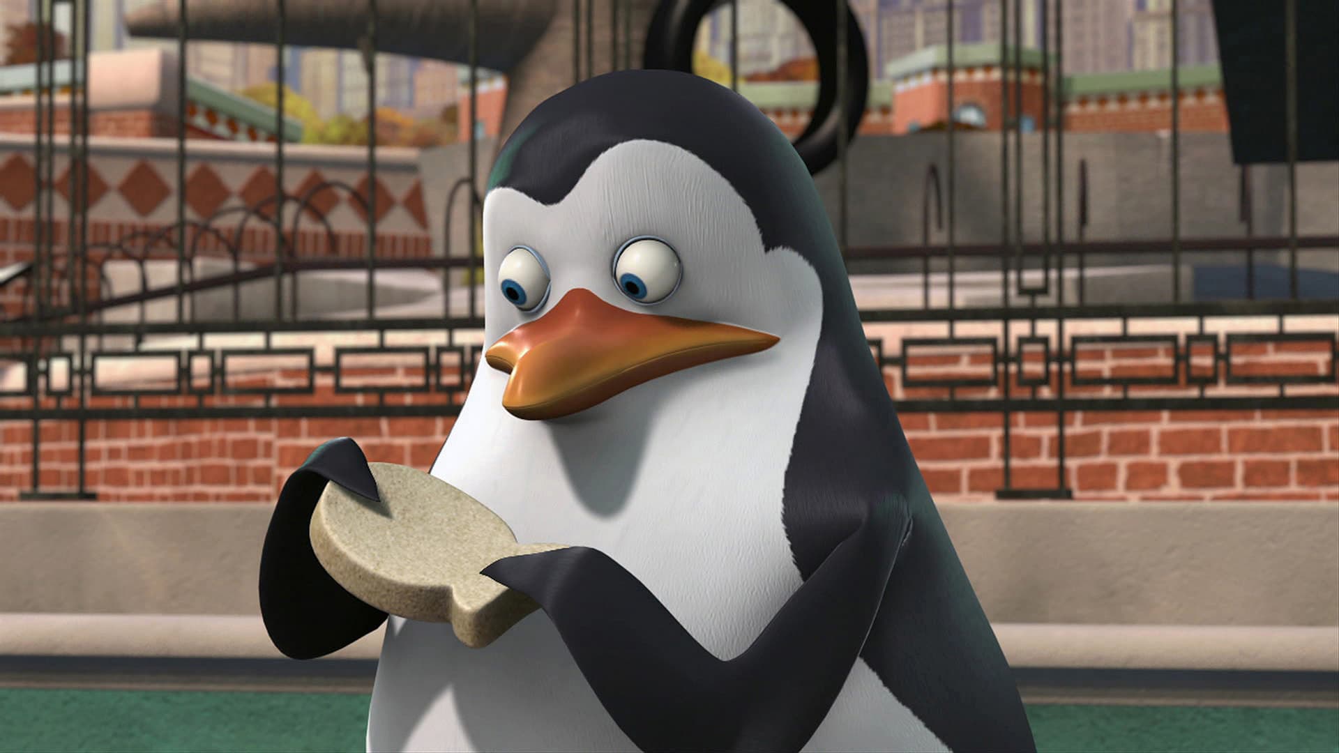 Οι πιγκουίνοι της Μαδαγασκάρης