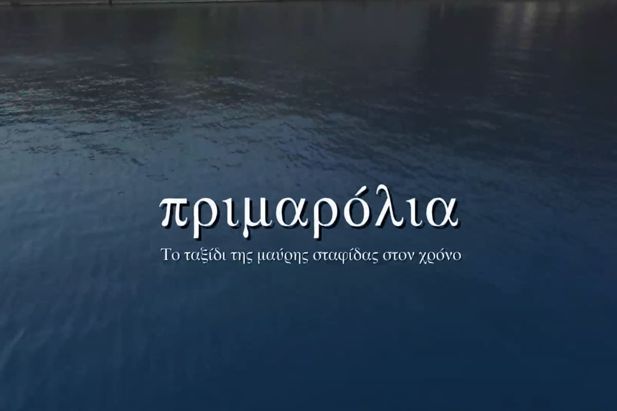 Πριμαρόλια: Το Ταξίδι της Μαύρης Σταφίδας στον Χρόνο