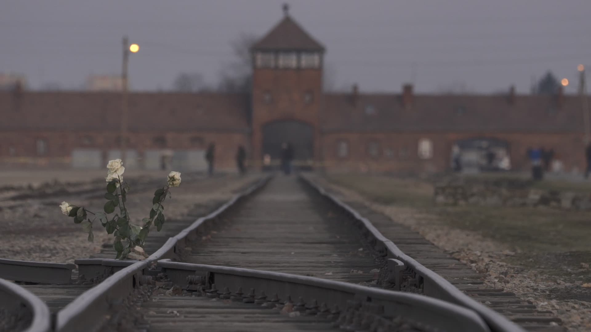 Inferno: Letters from Auschwitz