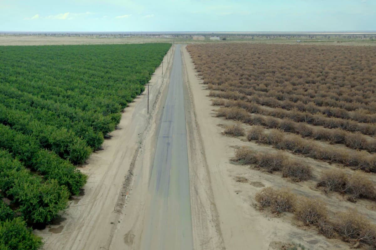 Water & Power: Το Mεγάλο Kόλπο στην California Ε1