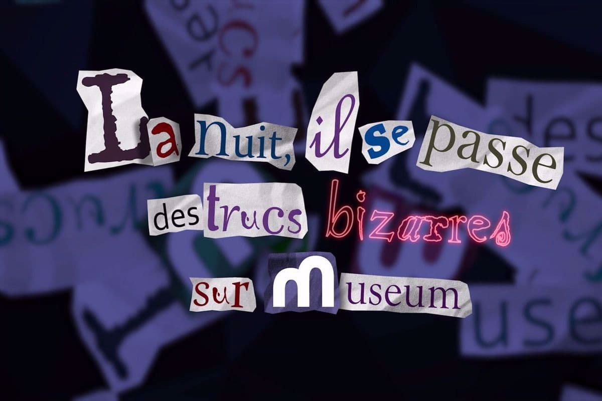 Video Art