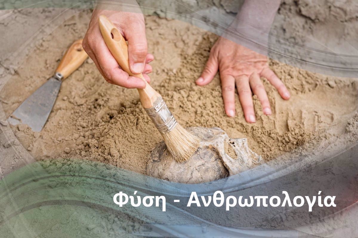 Τα Μυστικά των Μαγεμένων Νερών Κ1 Ε3