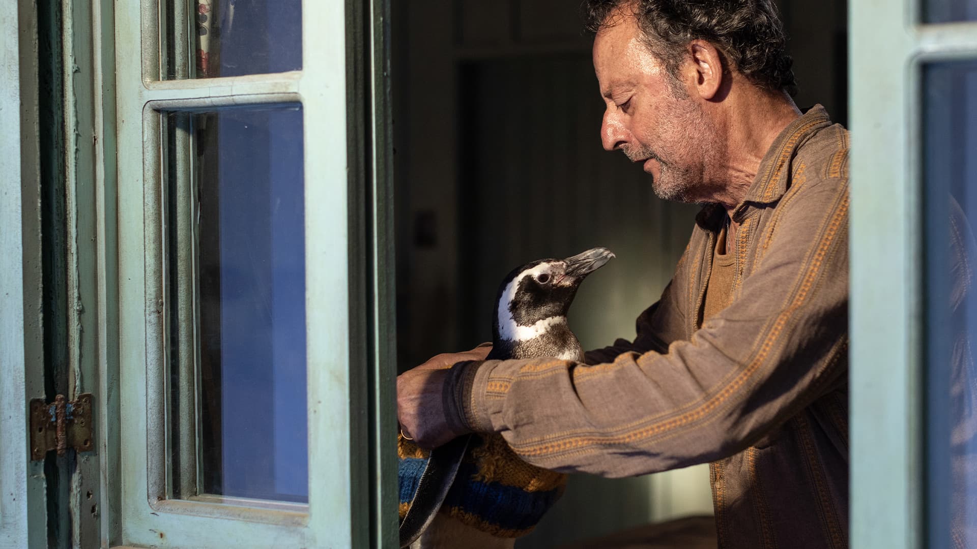 Ο φίλος μου ο πιγκουίνος