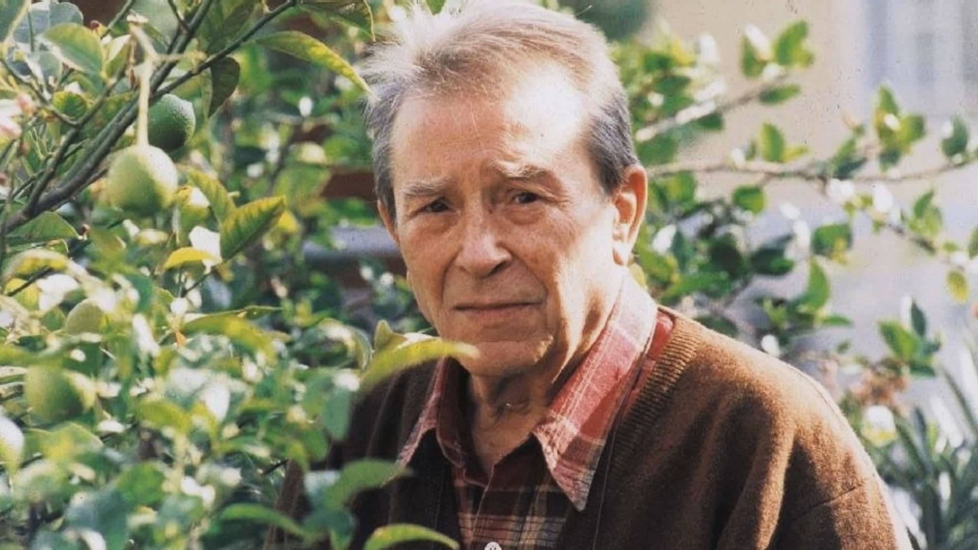 Ιάκωβος Καμπανέλλης