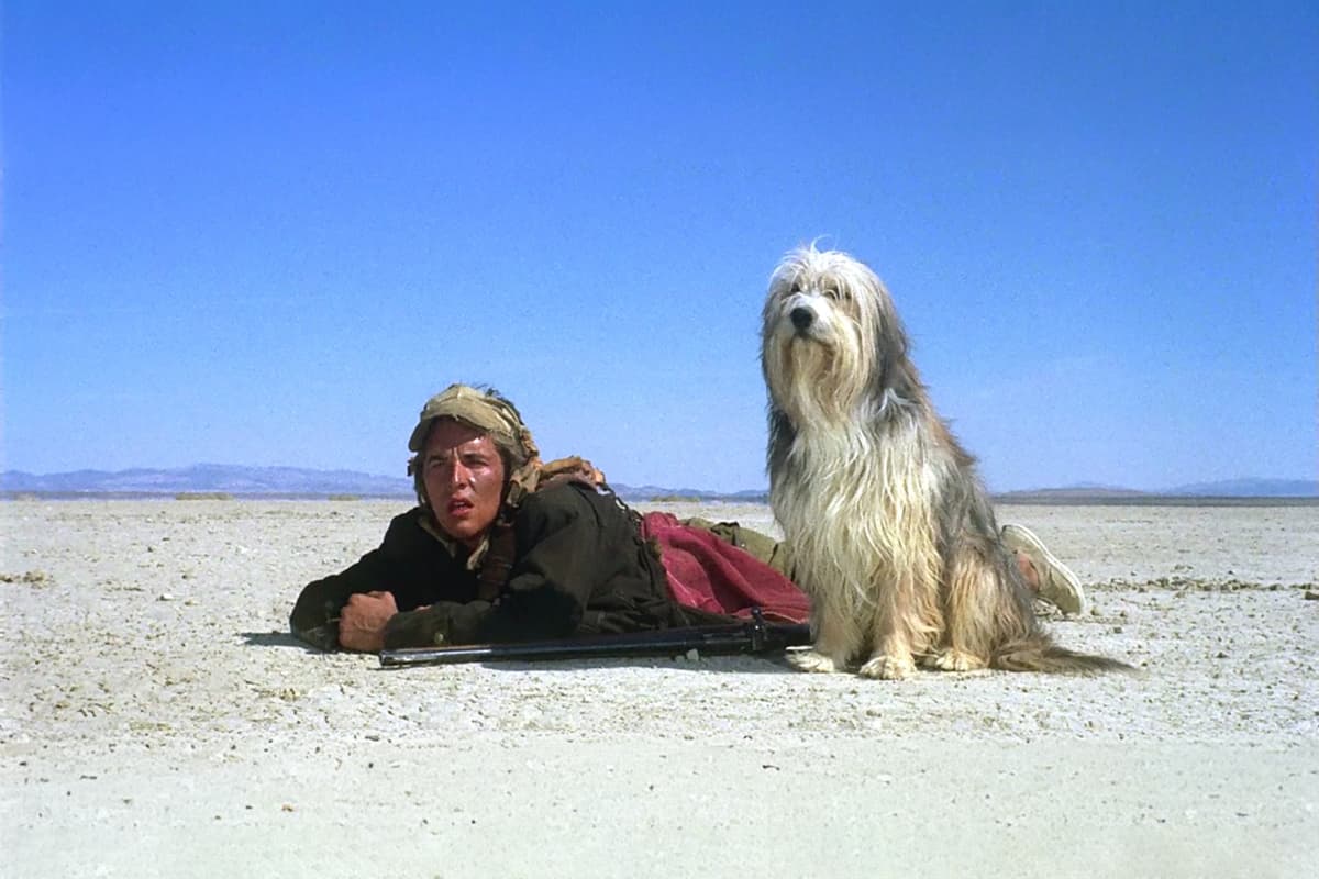 A Boy and His Dog