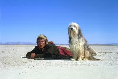 A Boy and His Dog