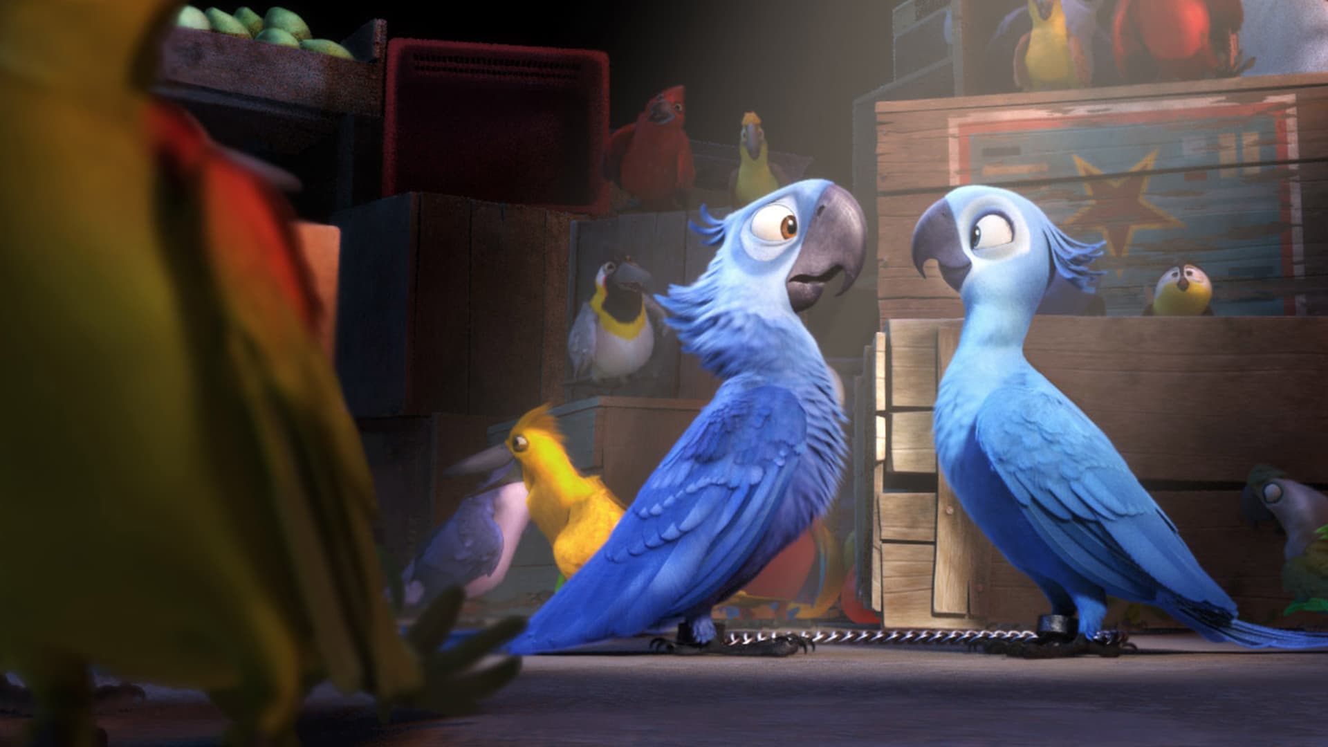 Ρίο (Μεταγλ.)