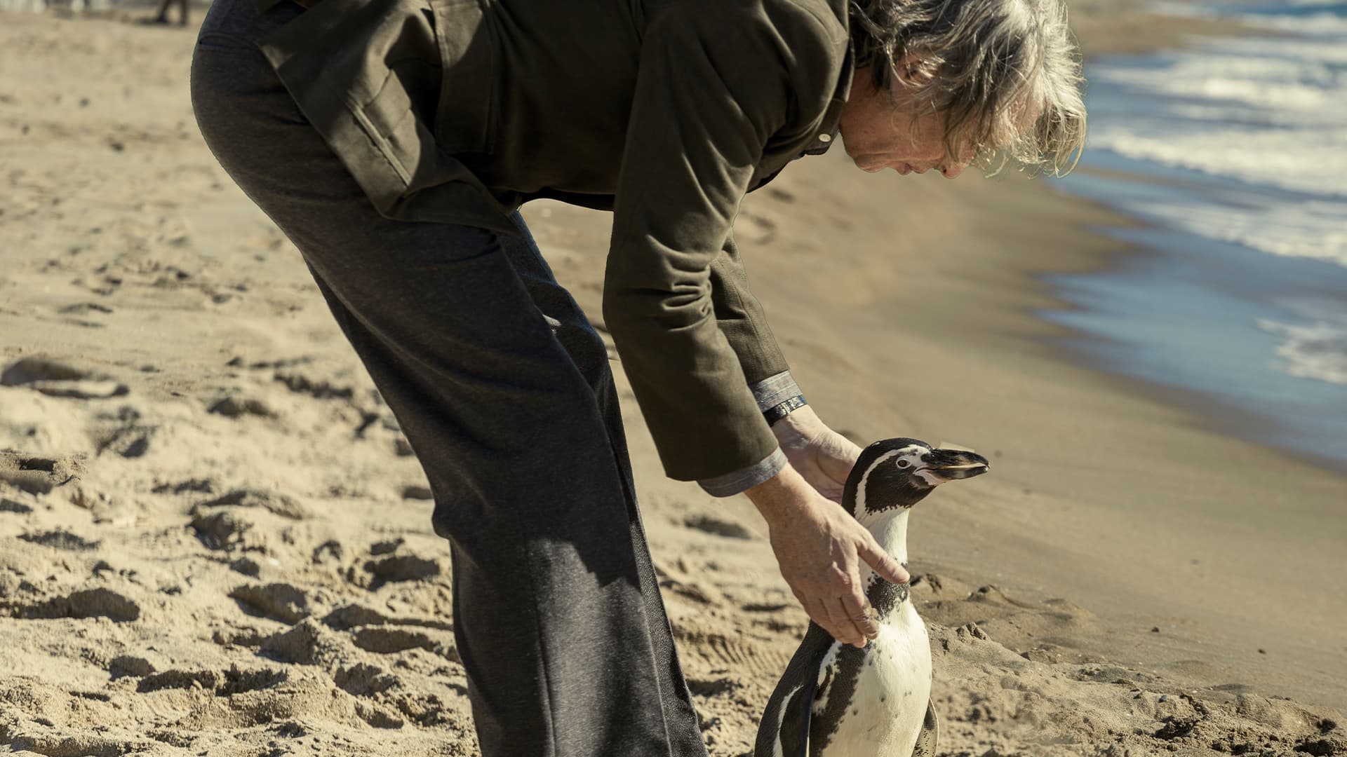Μαθήματα από έναν πιγκουίνο