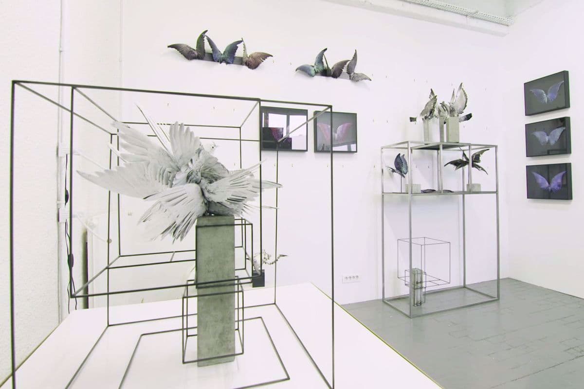 Η Τέχνη της Ταρίχευσης